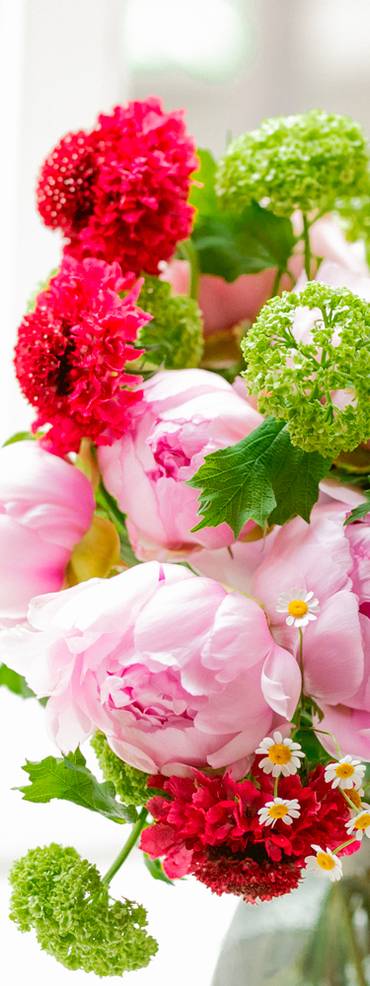 fleurs fleurs