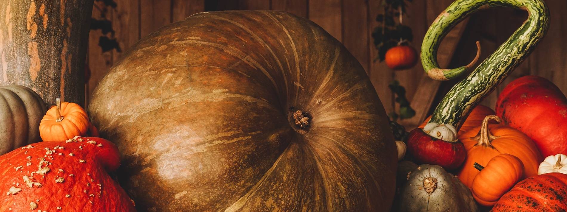 citrouille Halloween