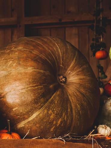 citrouille Halloween