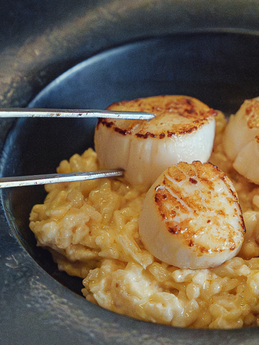 CasinoJOAdeBagnoles_FeteDeLaCoquille CasinoJOAdeBagnoles_FeteDeLaCoquille