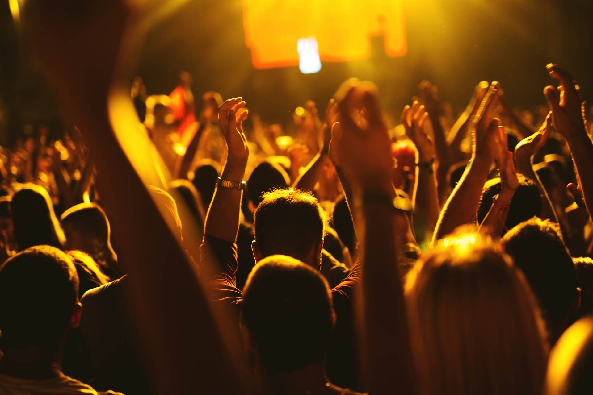 Concert musique