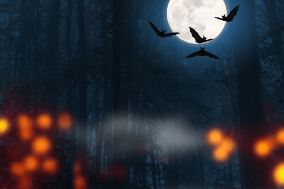 CES-HALLOWEEN-2026 CES-HALLOWEEN-2026