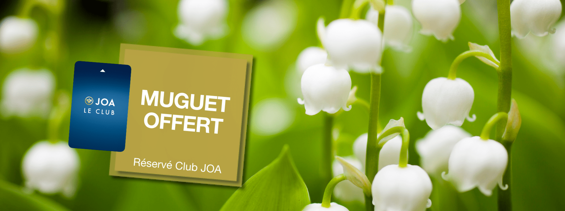 Muguet offert