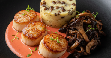 112025-sugg-24.90 112025-sugg-24.90