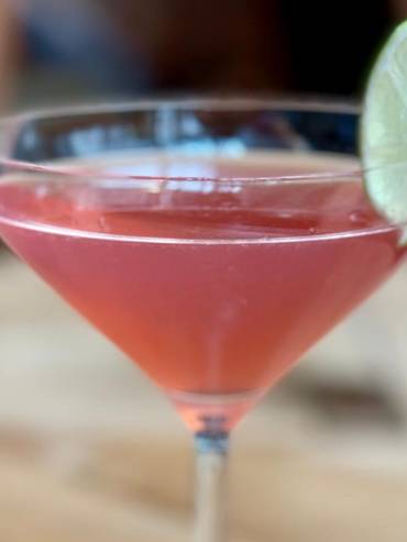 Cocktail rose