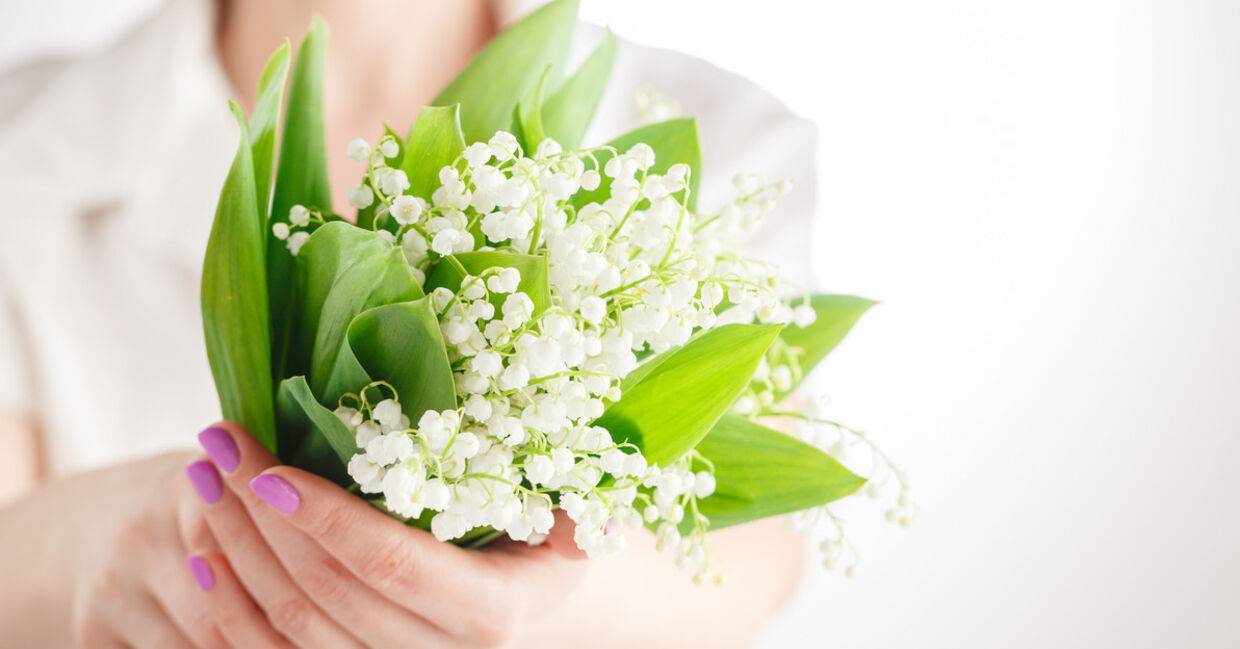 Muguet premier mai casino JOA - istock