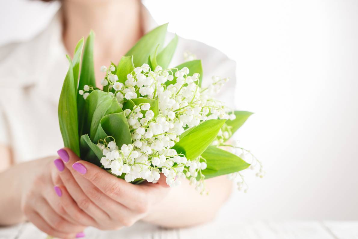 Muguet premier mai casino JOA - istock