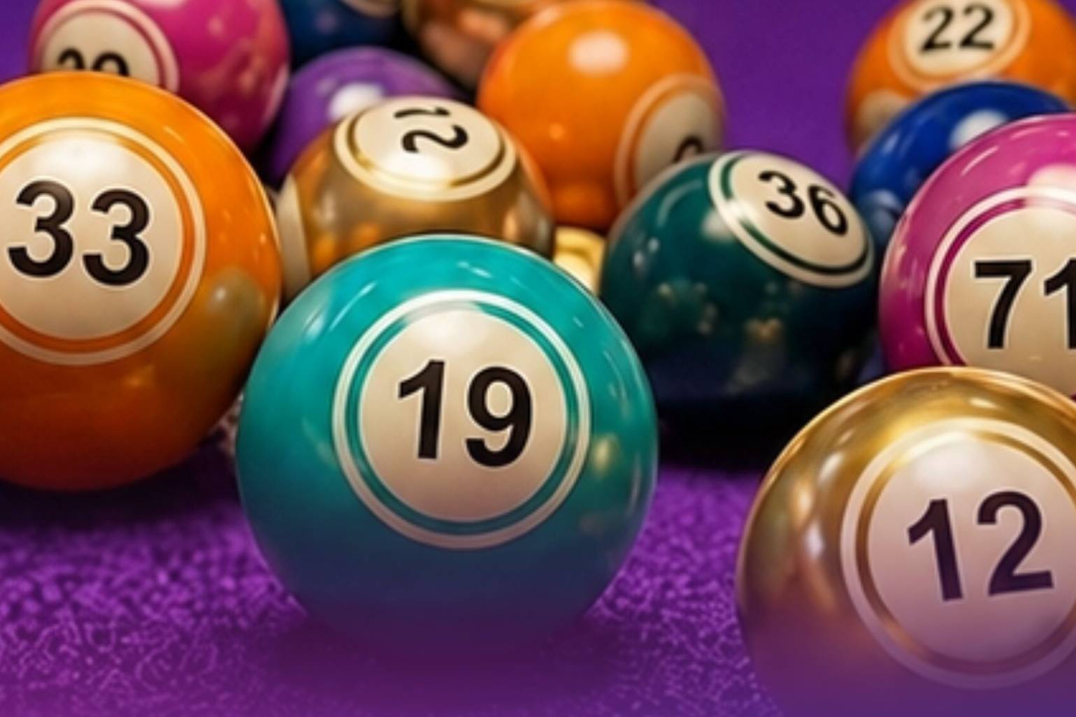 Bingo Bingo