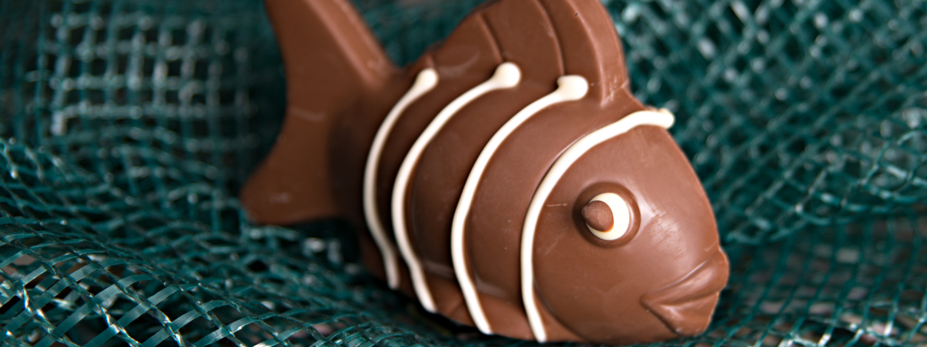 Casino JOA Saint Brevin l'Océan - poisson