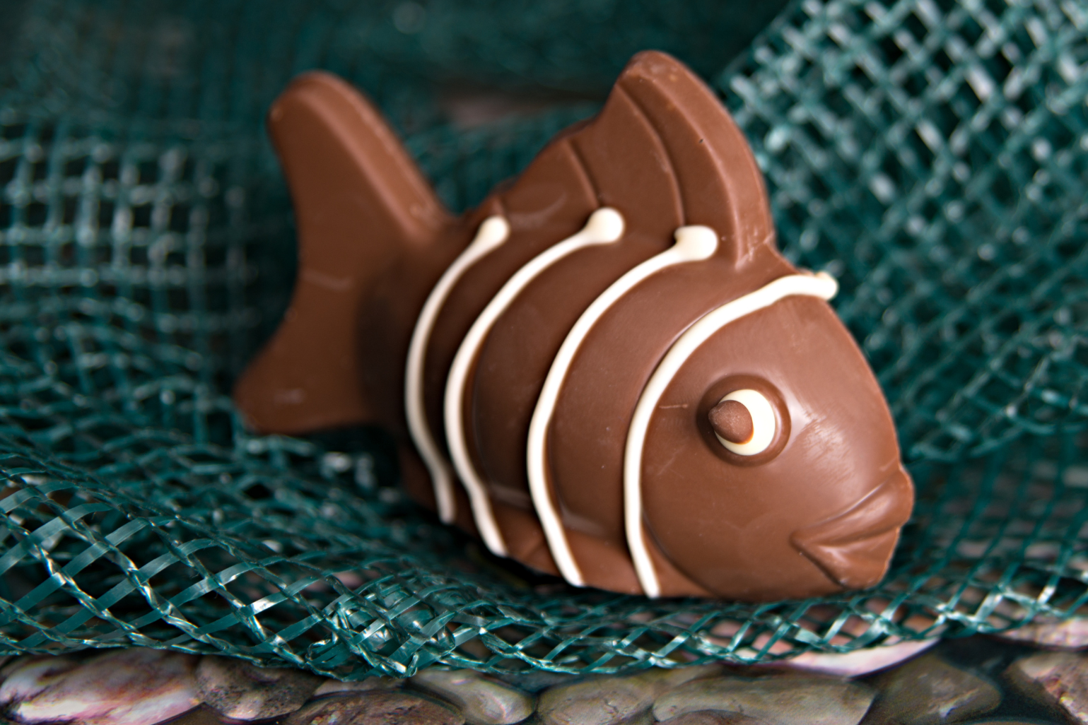 Casino JOA Saint Brevin l'Océan - poisson