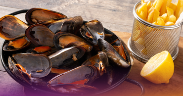 moules frites moules frites