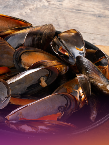 moules frites