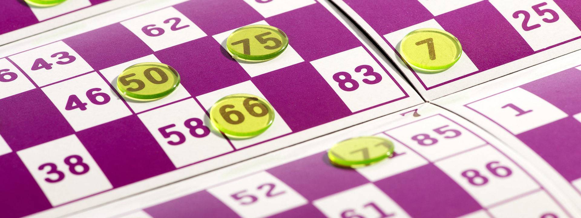 Bingo carton casino JOA