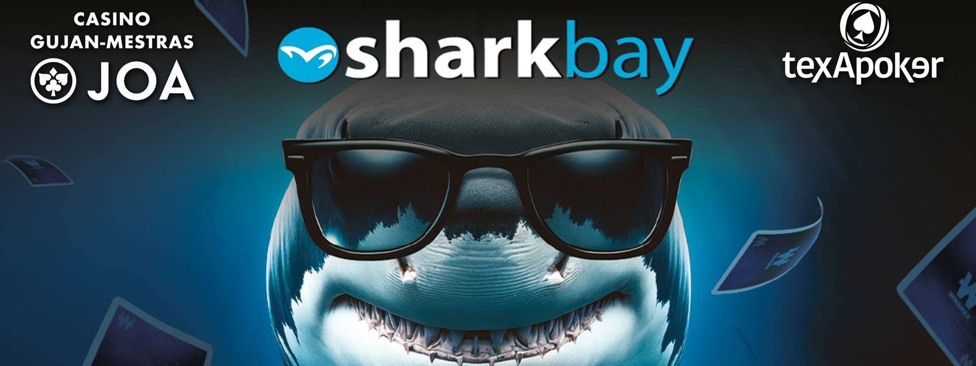 Header Sharkbay