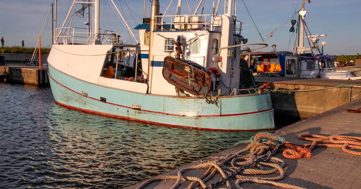 plateau fruit de mer