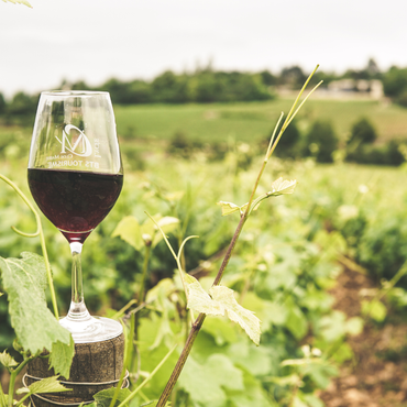 Casino JOA Saint Brevin soiree Beaujolais Casino JOA Saint Brevin soiree Beaujolais