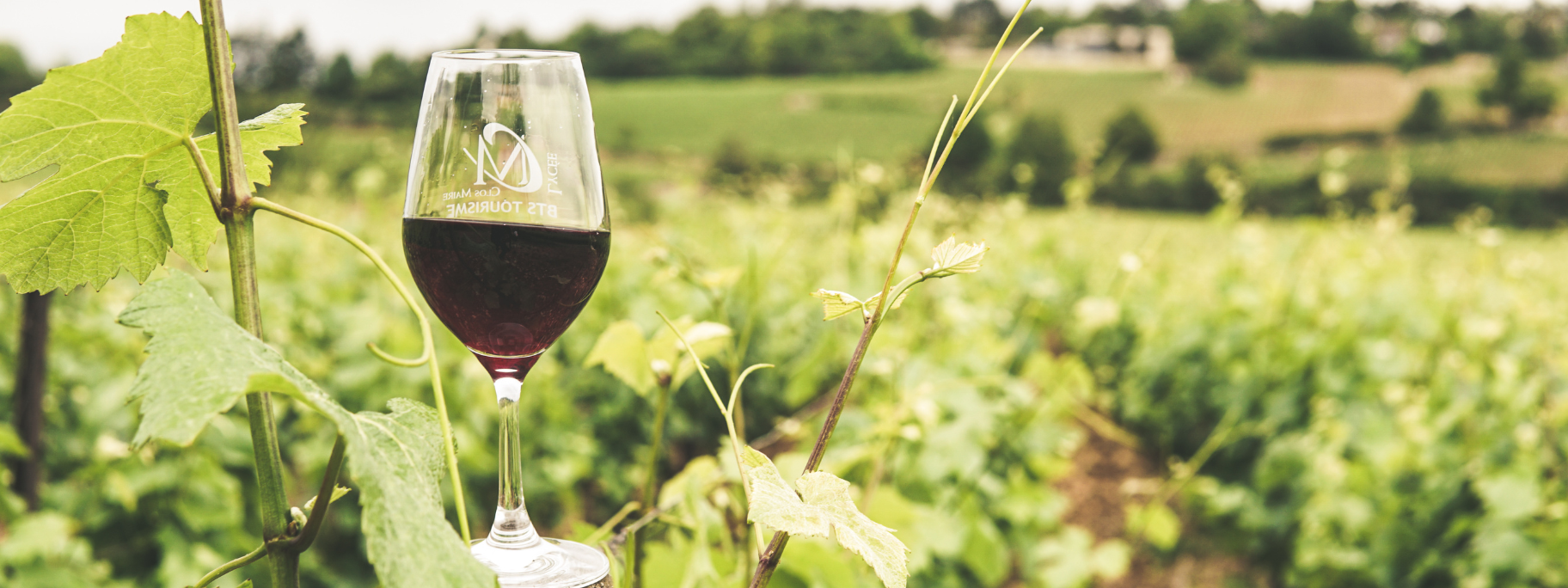 Casino JOA Saint Brevin soiree Beaujolais Casino JOA Saint Brevin soiree Beaujolais