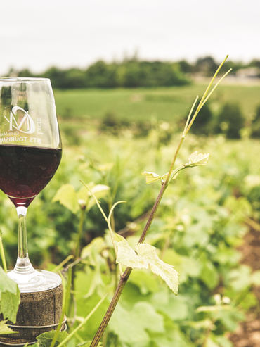 Casino JOA Saint Brevin soiree Beaujolais Casino JOA Saint Brevin soiree Beaujolais