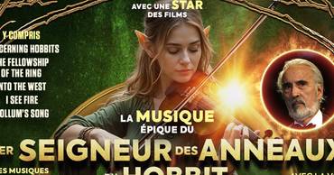 Seigneur des anneaux